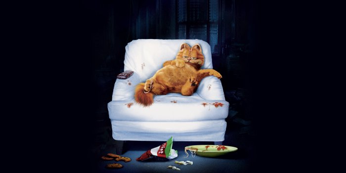 1920x1200 Garfield HD Wallpapers and Backgrounds