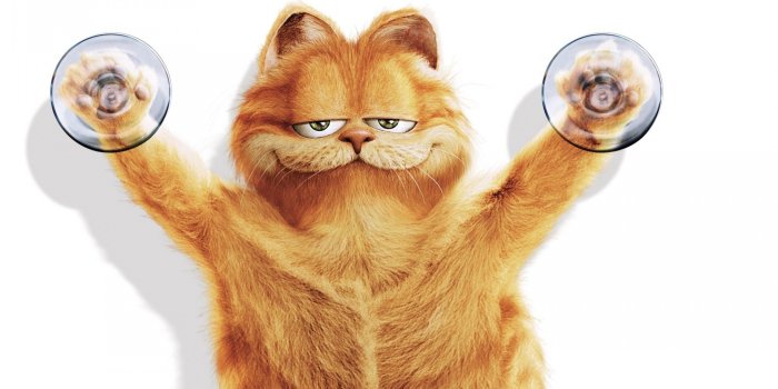 1920x1080 Garfield HD Wallpaper - WallpaperFX