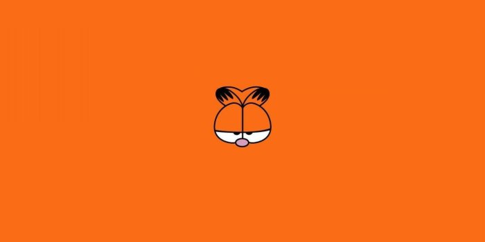 1920x1200 Download Lazy Garfield Face Wallpaper | Wallpapers.com