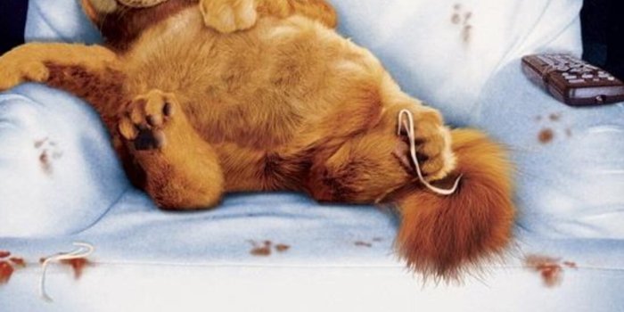 1242x2688 1242x2688 Garfield Cat Iphone XS MAX HD 4k Wallpapers, Images, Backgrounds,  Photos and Pictures