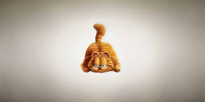 1920x1200 Garfield The Cat HD Wallpaper - WallpaperFX
