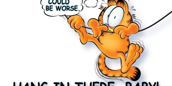 1920x1200 Free download Baby Computer Wallpapers Desktop Backgrounds 1920x1200  ID326740 [1920x1200] for your Desktop, Mobile & Tablet | Explore 74+ Garfield  Wallpaper | Garfield Desktop Wallpaper, Garfield Wallpapers, Garfield  Backgrounds