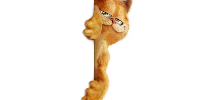 2560x1920 Aggregate 149+ garfield wallpapers for mobile latest - 3tdesign.edu.vn