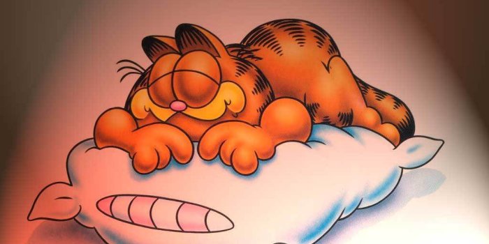 1024x768 Garfield wallpapers - Garfield Wallpaper (2026923) - Fanpop