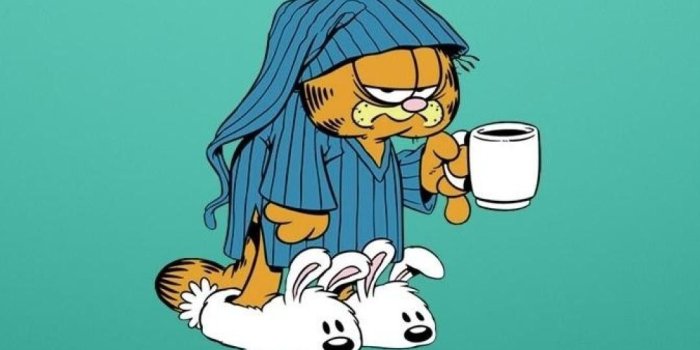 1080x1920 Garfield Cartoon Wallpapers