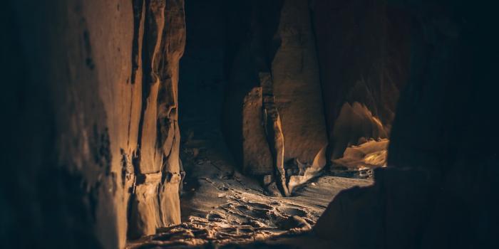 1000x1498 27+ Cave Pictures | Download Free Images on Unsplash
