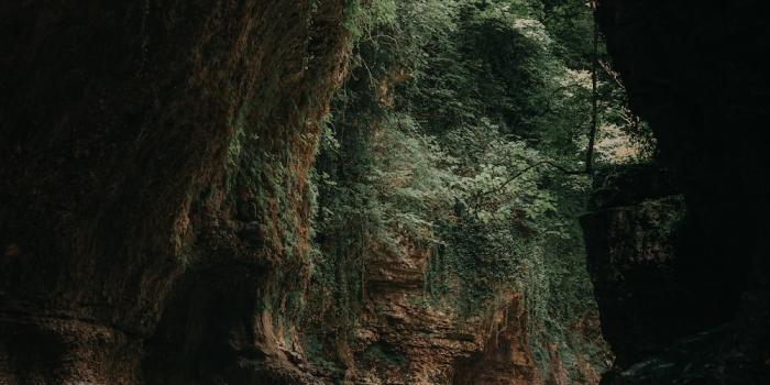 1000x1500 Underwater Cave Pictures | Download Free Images on Unsplash