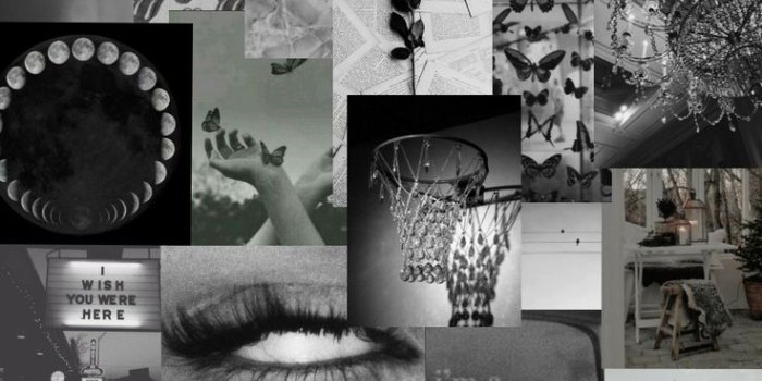 736x1350 Grey Aesthetic Wallpaper | Grey wallpaper iphone, American wallpaper, Aesthetic  wallpapers