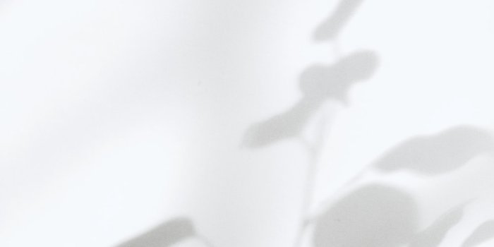 1000x1333 1500+ White Aesthetic Pictures | Download Free Images on Unsplash