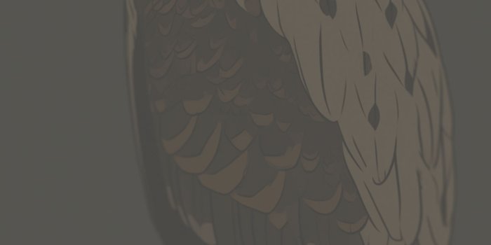 1183x2560 Aesthetic Hawk Grey Wallpapers - Cool Hawk Wallpapers iPhone