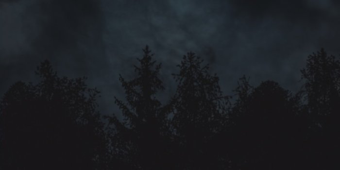 1000x1500 Best 500+ Midnight Pictures | Download Free Images on Unsplash