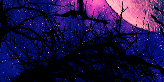 1080x1920 Midnight | Purple galaxy wallpaper, Watercolor moon, Purple wallpaper hd