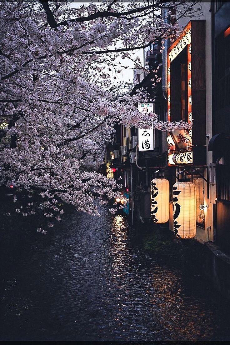 736x1104 Japan Aesthetic Wallpaper : r/AestheticWallpapers