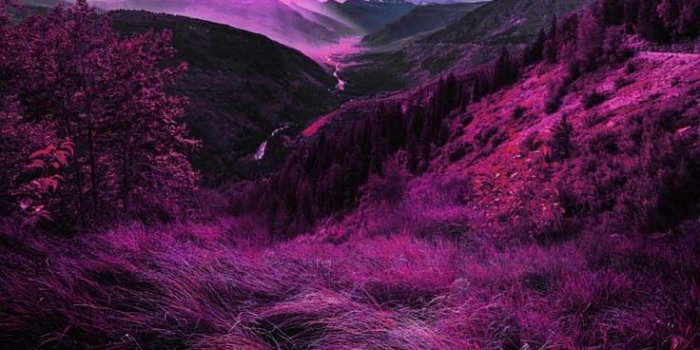 736x1308 Midnight Mountains IPhone Wallpaper HD - IPhone Wallpapers : iPhone  Wallpapers | Iphone wallpaper, Wallpaper, Wallpaper iphone love