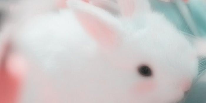 1080x1920 Pin on photography