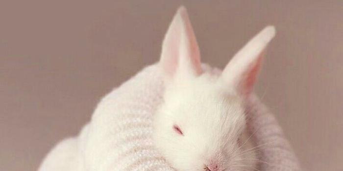 720x1280 Pin on TUMBLR