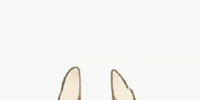 700x1243 Bunny wallpaper | Imagens fofas, Animais kawaii, Desenhos kawaii
