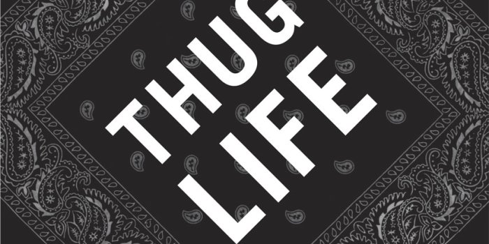854x1280 Thug Life: Race, Gender, and the Meaning of Hip-Hop, Jeffries
