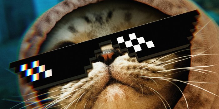 2160x1440 Funny Cat Thug Life Glasses Ultra HD Desktop Background Wallpaper for 4K  UHD TV : Widescreen & UltraWide Desktop & Laptop : Tablet : Smartphone