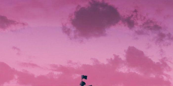 750x1500 One piece : r/iphonewallpapers