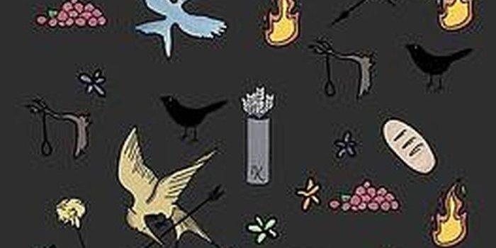 755x1148 The Hunger Games wallpapers (I didn't