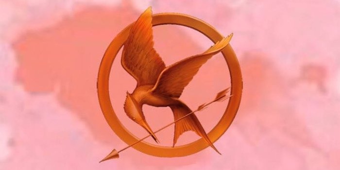 1082x1920 Download The Hunger Games Aesthetic
