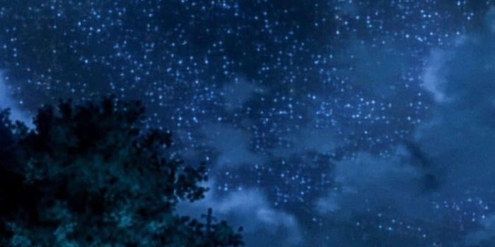 1080x1920 Download Anime Night Background | Wallpapers.com