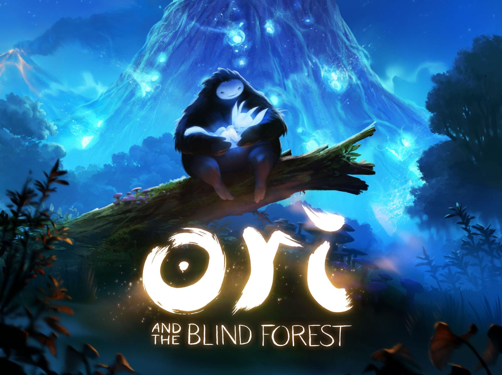 2925x2190 ori-and-the-blind-forest-wallpapers | Blogpipe