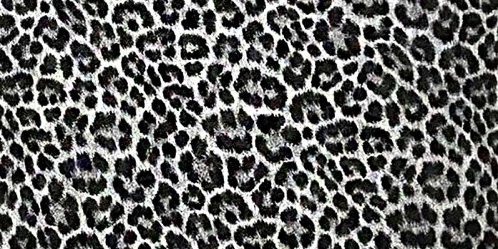 1000x1000 255050 Gray Silver Leopard Cheetah Wallpaper – wallcoveringsmart