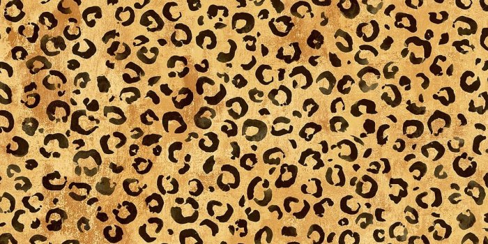 1170x1192 Classic Leopard Peel and Stick Removable Wallpaper – Say Decor LLC