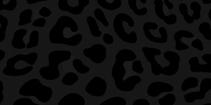 1650x1070 Black Leopard Print Wallpaper Mural | Hovia