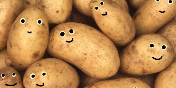 1852x1042 Download Potatoes Doodled With Goggly Eyes Wallpaper | Wallpapers.com