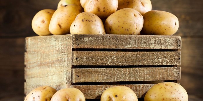 1852x1430 100+] Potato Wallpapers | Wallpapers.com