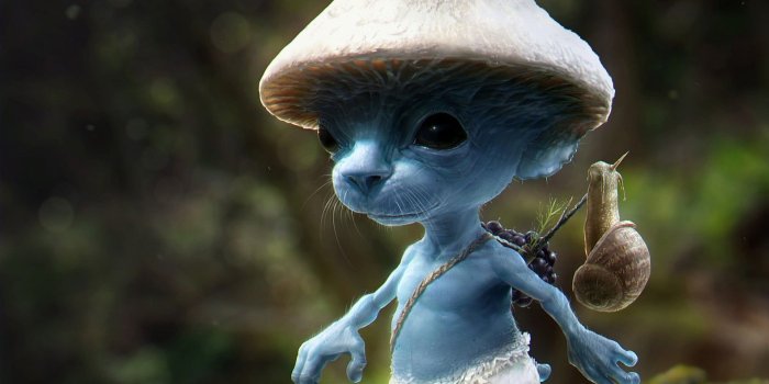 1920x1080 Blue Smurf Cat Wallpapers