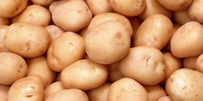 1920x1200 Food Potato HD Wallpaper