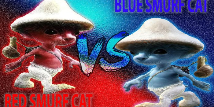 1920x1080 Blue Smurf Cat Wallpapers