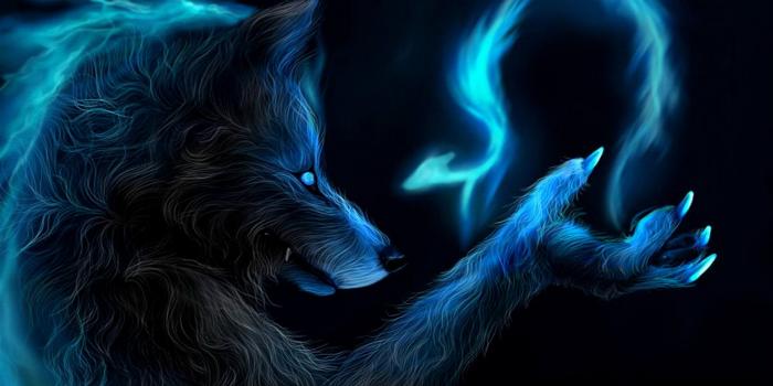 1920x1200 320+ Wolf HD Wallpapers and Backgrounds