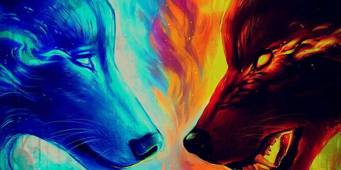 800x1422 100+] Water And Fire Wolf Wallpapers | Wallpapers.com
