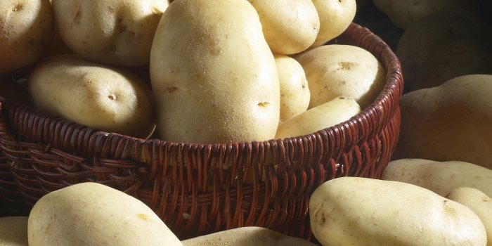 1920x1200 Food Potato HD Wallpaper