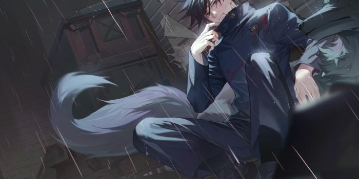 1920x1200 Download wallpaper rain, wolf, fantasy, guy, Jujutsu Kaisen, Megumi  Fushiguro, section art in resolution 1920x1200
