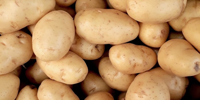3096x4128 Photo of Pile Of Potatoes · Free Stock Photo