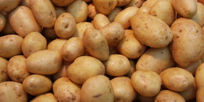 1936x1288 Potatoes Desktop Widescreen Wallpaper 61715 - Baltana
