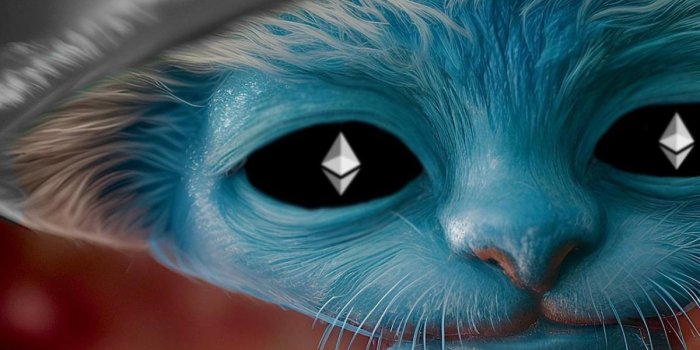 1200x701 Real Smurf Cat: Pioneering the Meme Coin Revolution with Unique Features  and Shailushai Legacy Commitment
