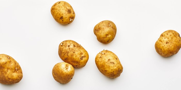 2560x1440 Can You Eat Sprouted Potatoes? What About Green Potatoes? | Bon Appétit