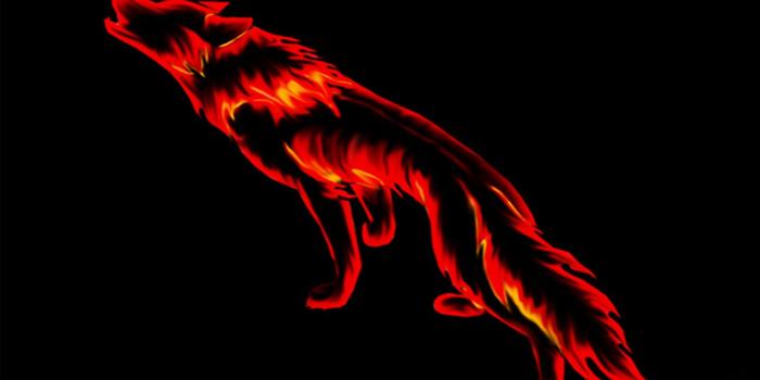 1920x1200 Fire Wolf Drawing Ultra HD Desktop Background Wallpaper for : Widescreen &  UltraWide Desktop & Laptop