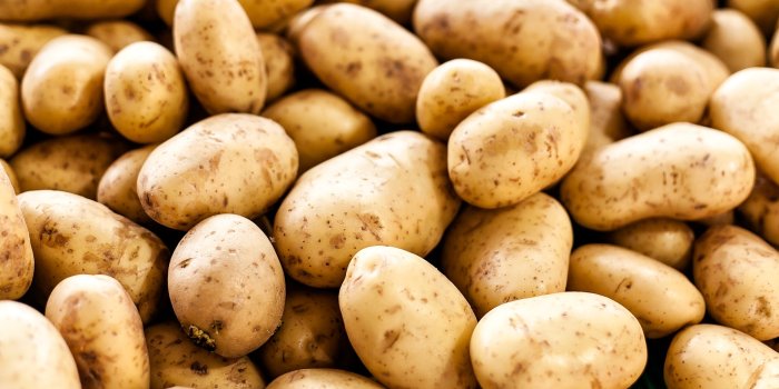 1920x1080 Potato nutrition facts & health benefits | Live Science