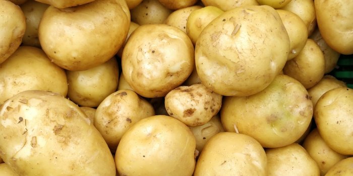 1000x1333 100+ Potatoes Pictures | Download Free Images on Unsplash