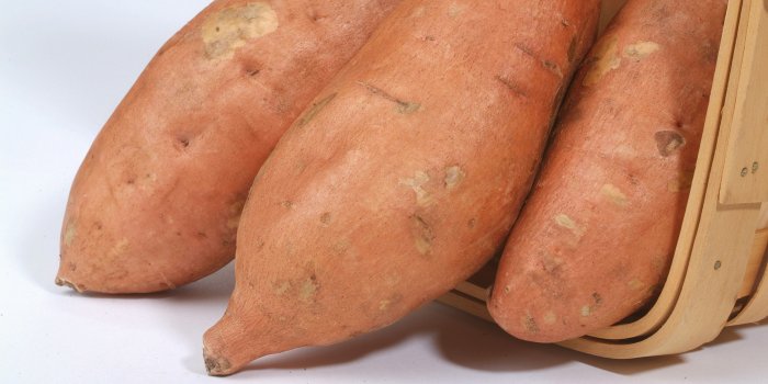 3024x2016 Sweet Potato Variety Descriptions