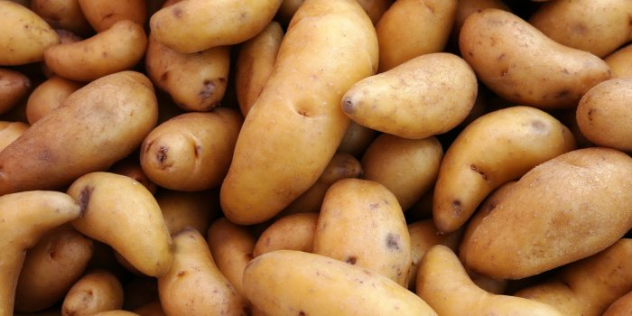 3840x2160 Potato Wallpapers (63+ images)