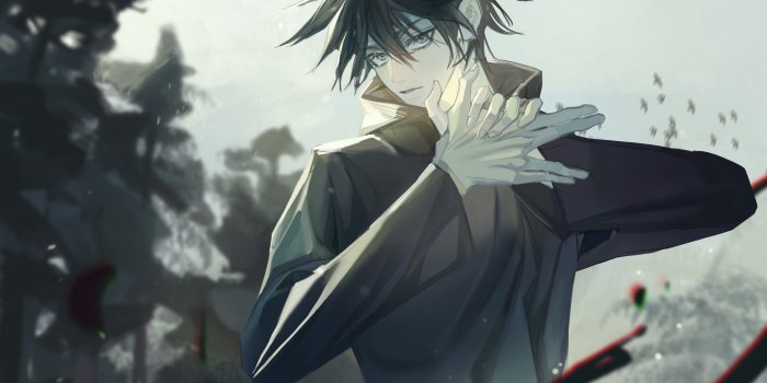 3191x2401 Mobile wallpaper: Anime, Megumi Fushiguro, Jujutsu Kaisen, 1016270 download  the picture for free.